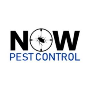 Now Pest Control - Leichardt, NSW, Australia