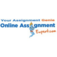 Online Assignment Expert - Guildford, NSW, Australia