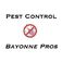 Pest Control Bayonne Pros - Bayonne, NJ, USA