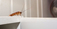 Pest Control Highton - Highton, VIC, Australia