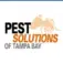 Pest Solutions of Tampa Bay - Tampa, FL, USA