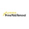 Prime mold removal - Brooklyn, NY, USA