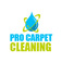 Pro Carpet Cleaning Austin - Austin, TX, USA