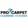 Pro Carpet Cleaning Swansea - Ystalyfera, Swansea, United Kingdom