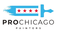 Pro Chicago Painters - Chicago, IL, USA
