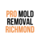 Pro Mold Removal Richmond - Richmond, VA, USA