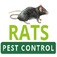 Rats Pest Control Perth - Perth, WA, Australia