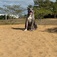 Russell\'s K9 Academy - Daytona Beach, FL, USA
