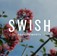 SWISH Developments Inc. - Edmonton, AB, Canada