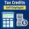 Self-Employed Tax Credit - New York, NY, USA