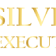 Silver Executive Cab - Melbourne, VIC, Australia