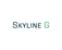 Skyline G - Executive Coaching & Leadership Develo - Washington, DC, USA