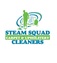 Steam Squad Carpet & Upholstery Cleaners - Jericho, NY, USA