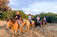 "Horse Retreats Texas"