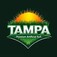 Tampa Premium Artificial Turf - Tampa, FL, USA
