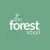 The Forest School - Auckland, Auckland, New Zealand
