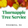 Thornapple Tree Service Wyoming - Wyoming, MI, USA