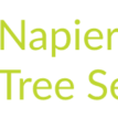 Tree Removal Napier - Napier, Hawke's Bay, New Zealand