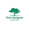 Tree Surgeon Cambridge - Cambridge, Cambridgeshire, United Kingdom