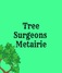 Tree Surgeons of Metairie - Metairie, LA, USA