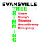 Tree Trimming Evansville - EVANSVILLE, IN, USA