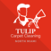 Tulip Carpet Cleaning North Miami - Miami, FL, USA