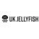 UK Jellyfish - Carlisle, Cumbria, United Kingdom