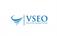 VSEO Digital Marketing, LLC - Aurora, CO, USA