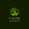 Valor Tree Service - Kansas City, MO, USA