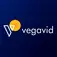 Vegavid Technology - Wayne, NJ, USA