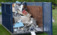WV Junk A Haulics, LLC - Shinnston, WV, USA