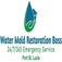 Water Mold Restoration Boss of Port St Lucie - Port Saint Lucie, FL, USA