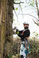 Webster Groves Tree Service - Saint Louis, MO, USA