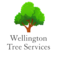 Wellington Tree Services - Johnsonville, Wellington, New Zealand