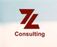 ZL Consulting - Detroit, MI, USA