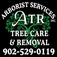 tree removal nova scotia - Lunenburg, NS, Canada